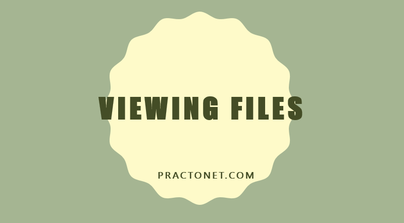 Viewing Files in Linux