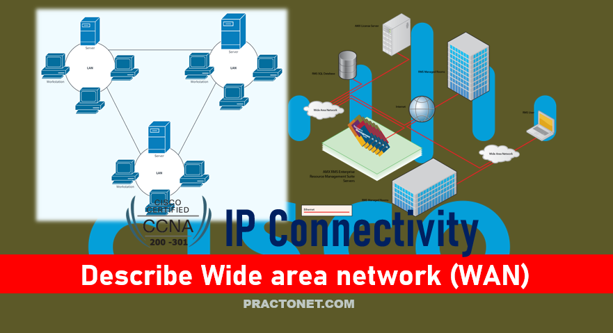 Describe Wide area network (WAN) | Metro Ethernet, Internet Access, Ethernet Tree Service, MPLS